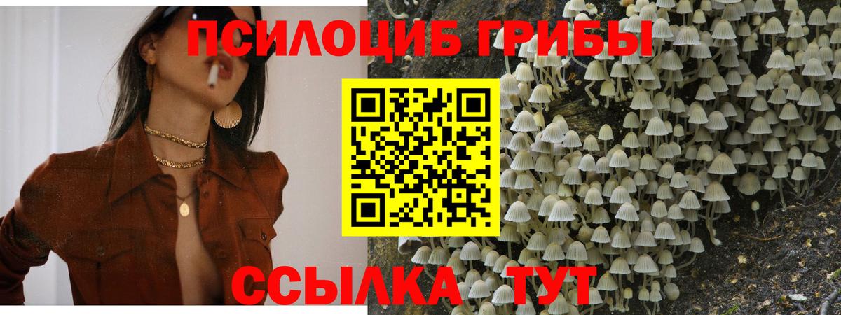 Галлюциногенные грибы GOLDEN TEACHER Новочеркасск