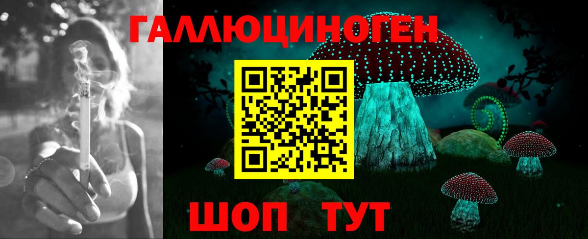 Новочеркасск  Галлюциногенные грибы прущие грибы  Вход с VPN  Псилоцибиновые грибы MAGIC MUSHROOMS 